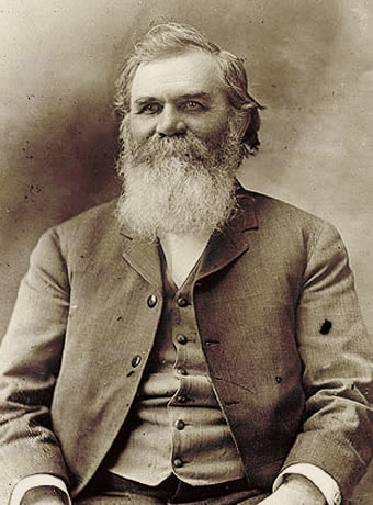 D.D. Palmer